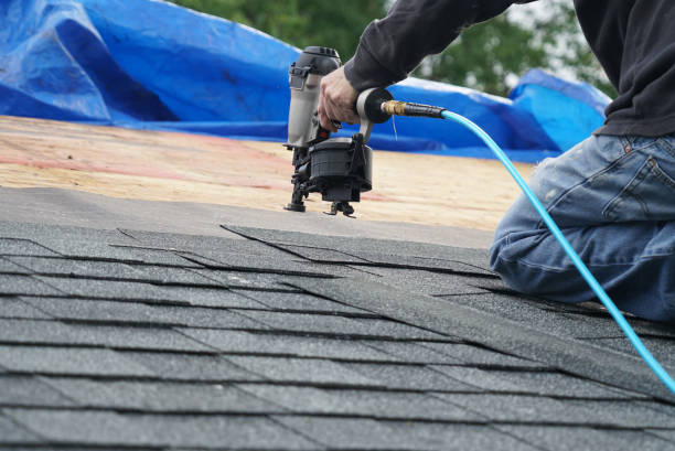 Best Storm Damage Roof Repair  in Al Creek, CO